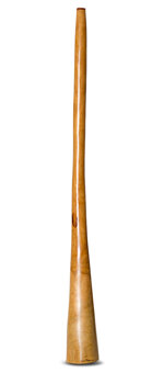 Kristian Benton Didgeridoo (KB294)